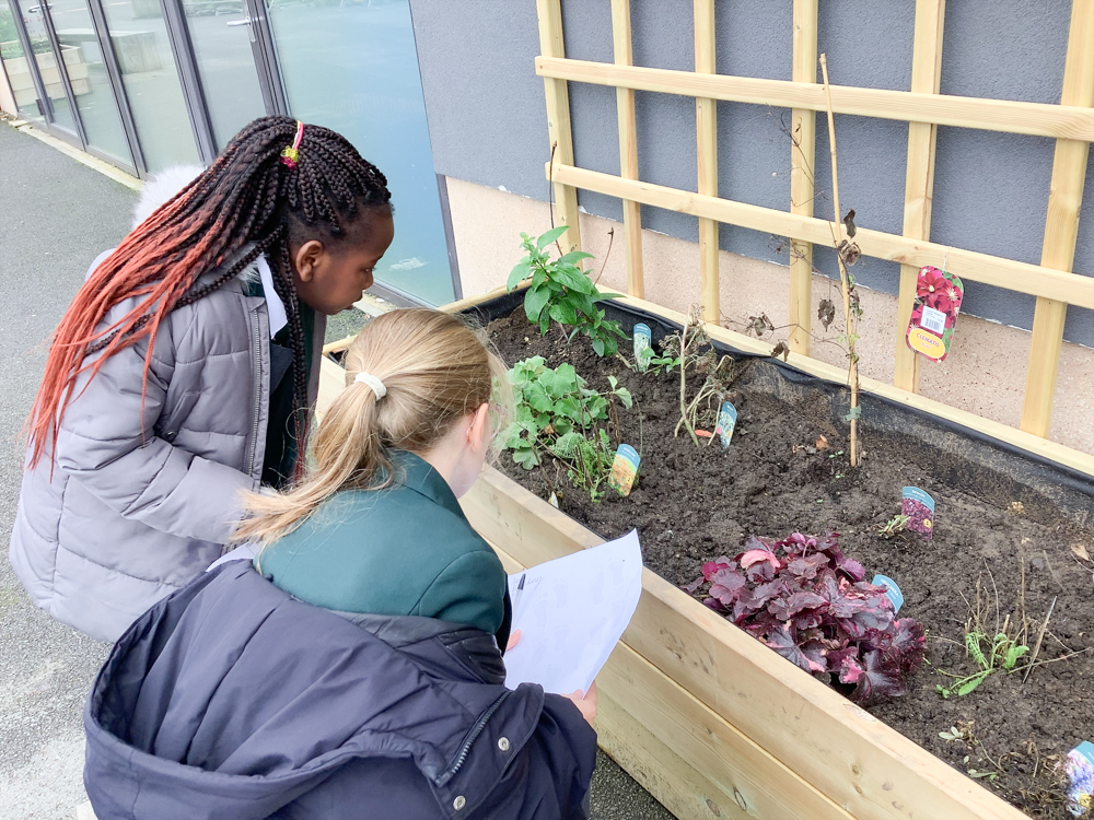Header image for Year 4 – October 2024
