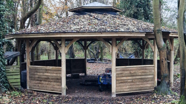 Featured image for Forest School Development