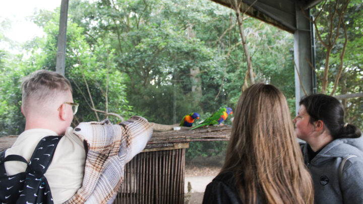Featured image for Hive Zoo Trip