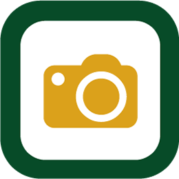 Photography